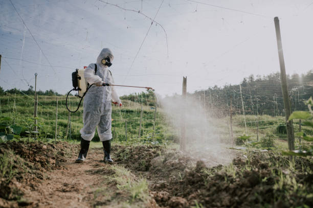 Best Pest Control for Businesses  in East Douglas, MA