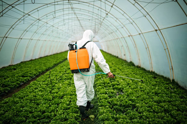 Best Commercial Pest Control Services  in East Douglas, MA