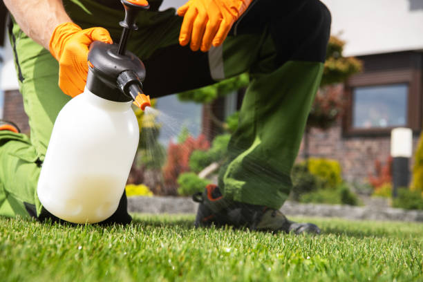 Best Termite Control Services  in East Douglas, MA