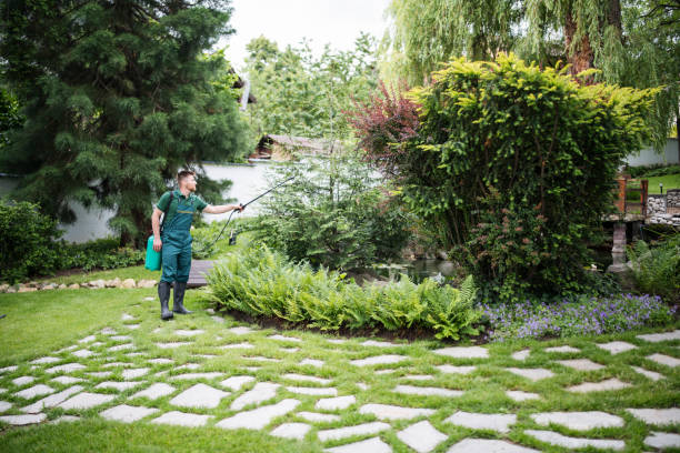 Best Mosquito Control Services  in East Douglas, MA