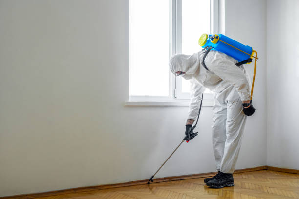Best Pest Control Near Me in East Douglas, MA