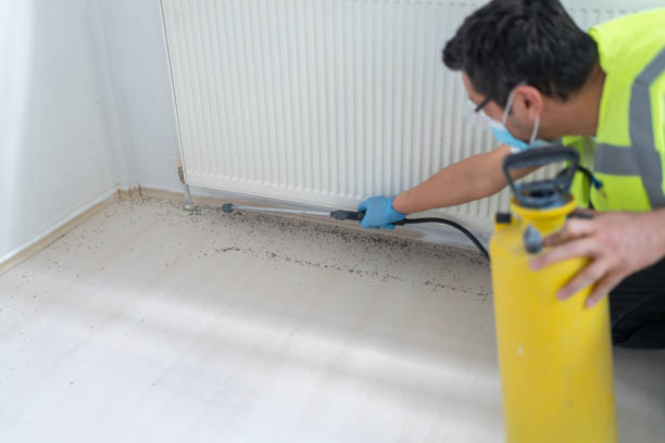 Best Bed Bug Extermination  in East Douglas, MA