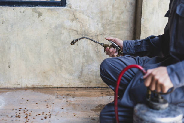 Pest Prevention Services in East Douglas, MA